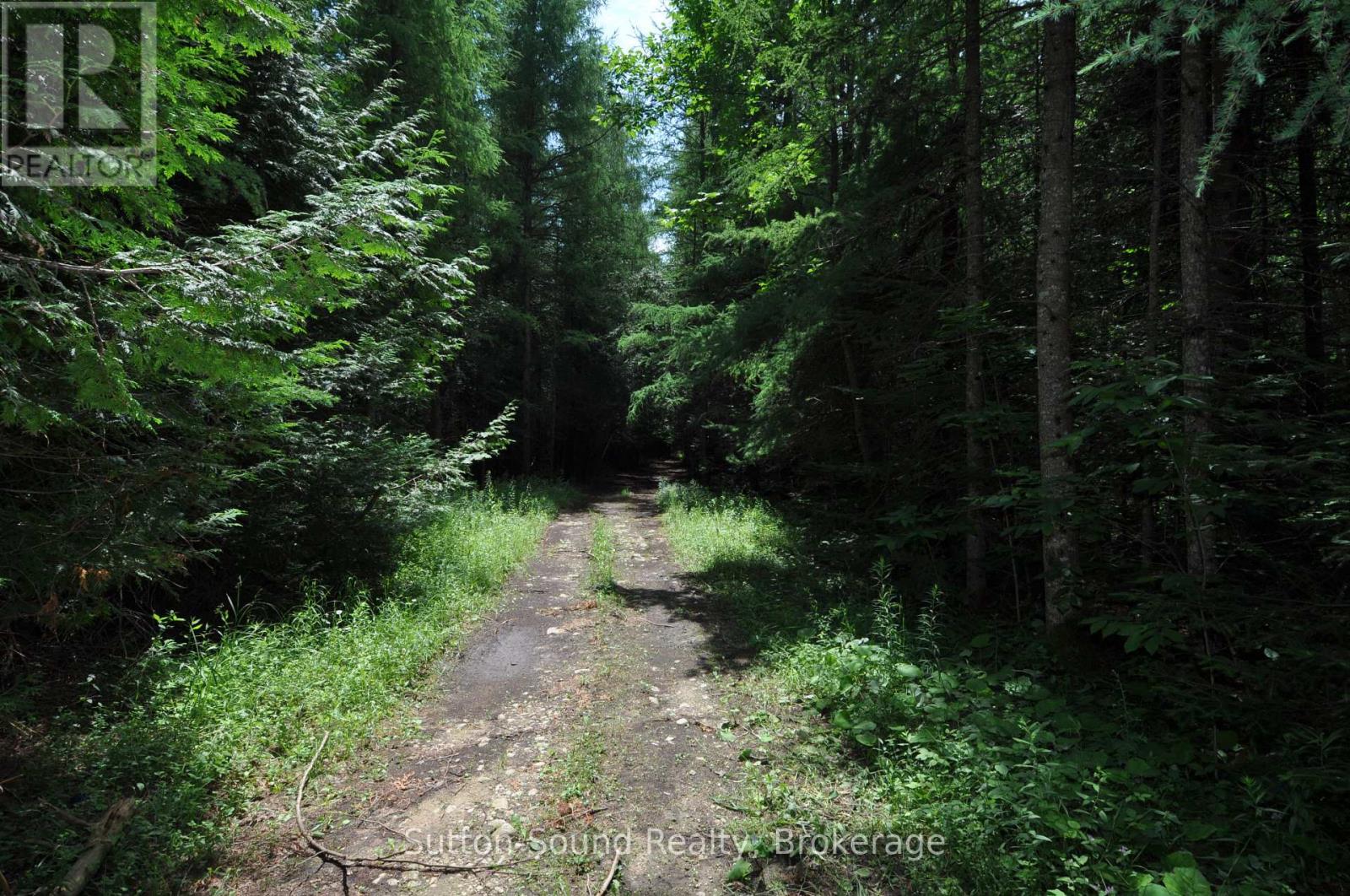 623394 Negro Creek Road, Chatsworth, Ontario  N0H 1G0 - Photo 5 - X12282520
