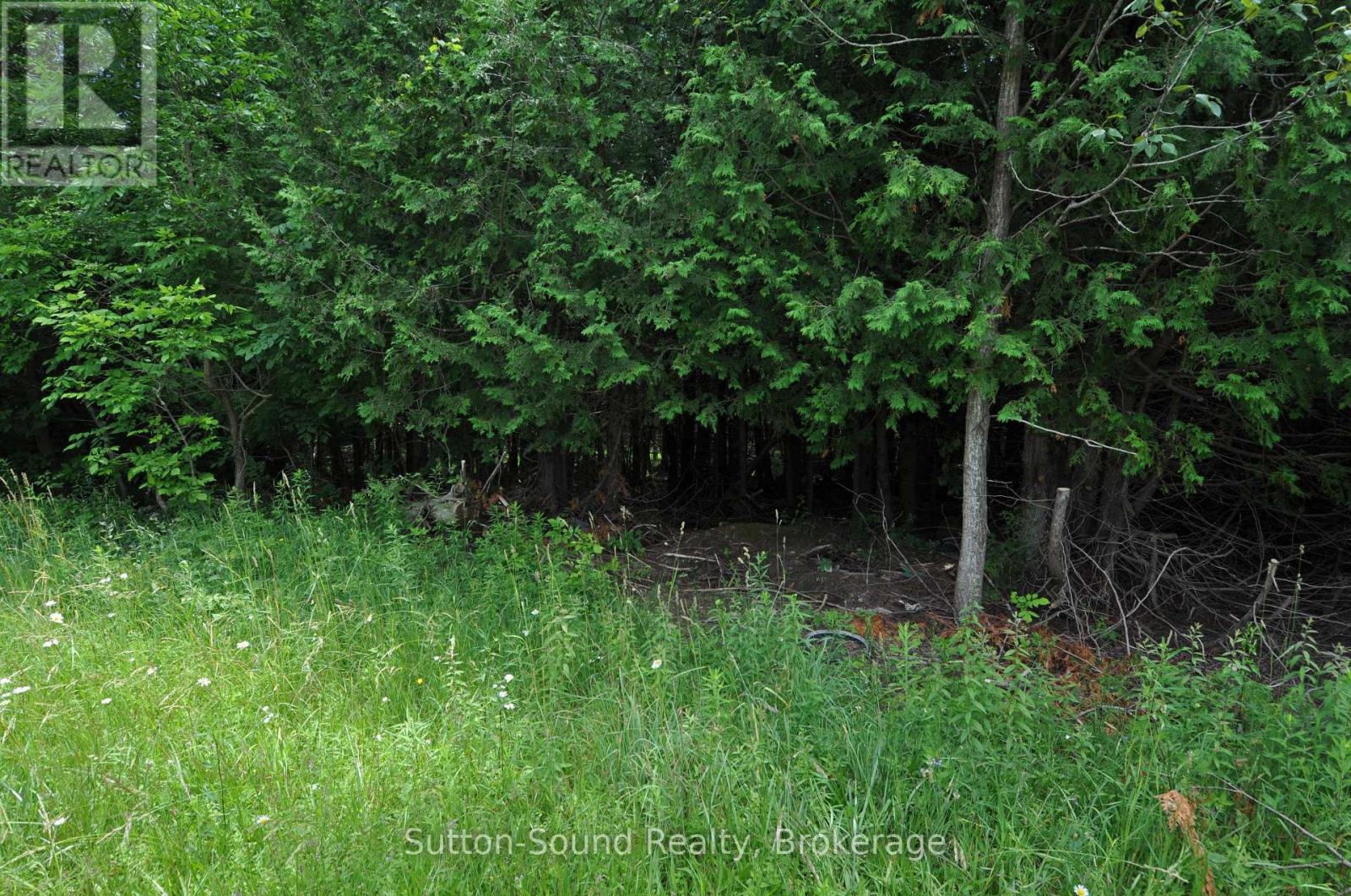 623394 Negro Creek Road, Chatsworth, Ontario  N0H 1G0 - Photo 7 - X12282520