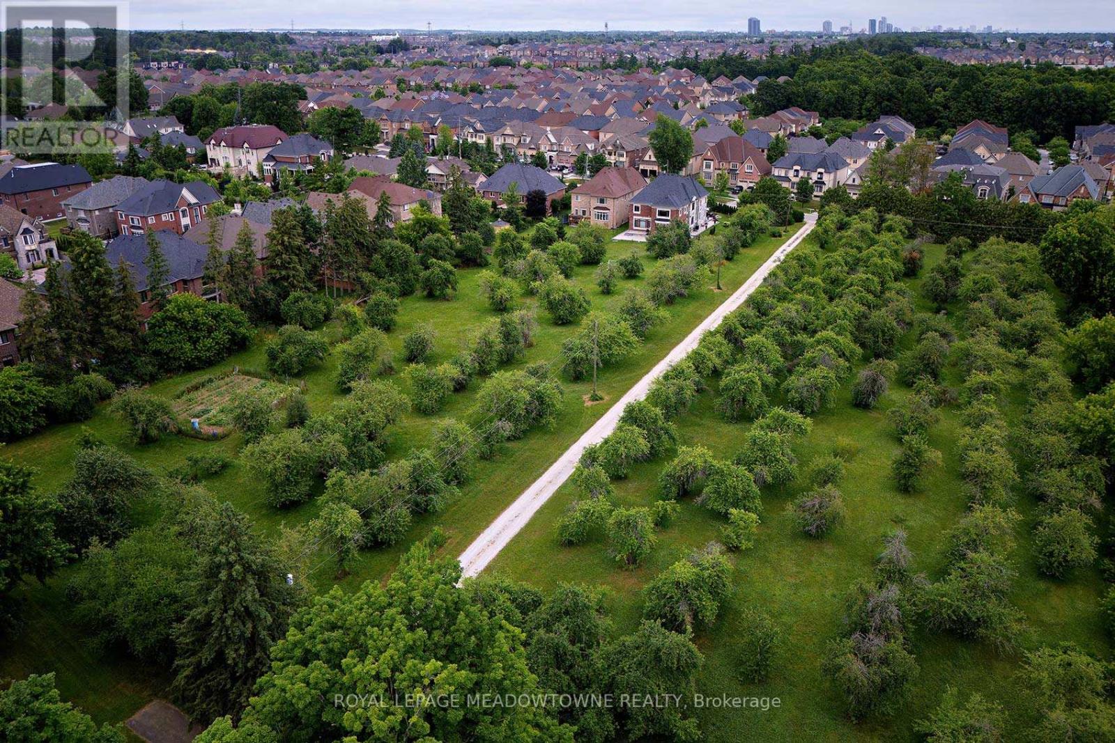 8774 Creditview Road, Brampton, Ontario  L6Y 0G4 - Photo 6 - W12278639