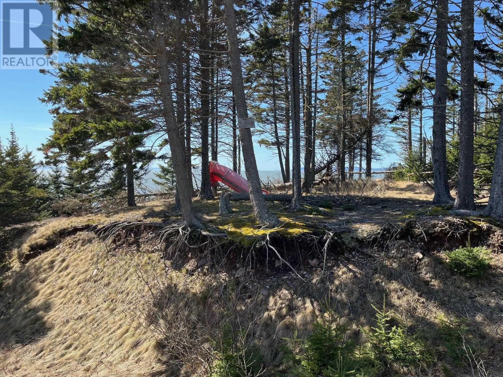 8208 Highway 209, Wards Brook, Nova Scotia  B0M 1S0 - Photo 13 - 202507979