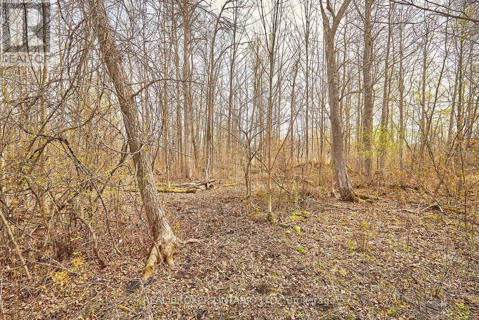 504224 89 Highway, Amaranth, Ontario  L9V 1P6 - Photo 14 - X12282477