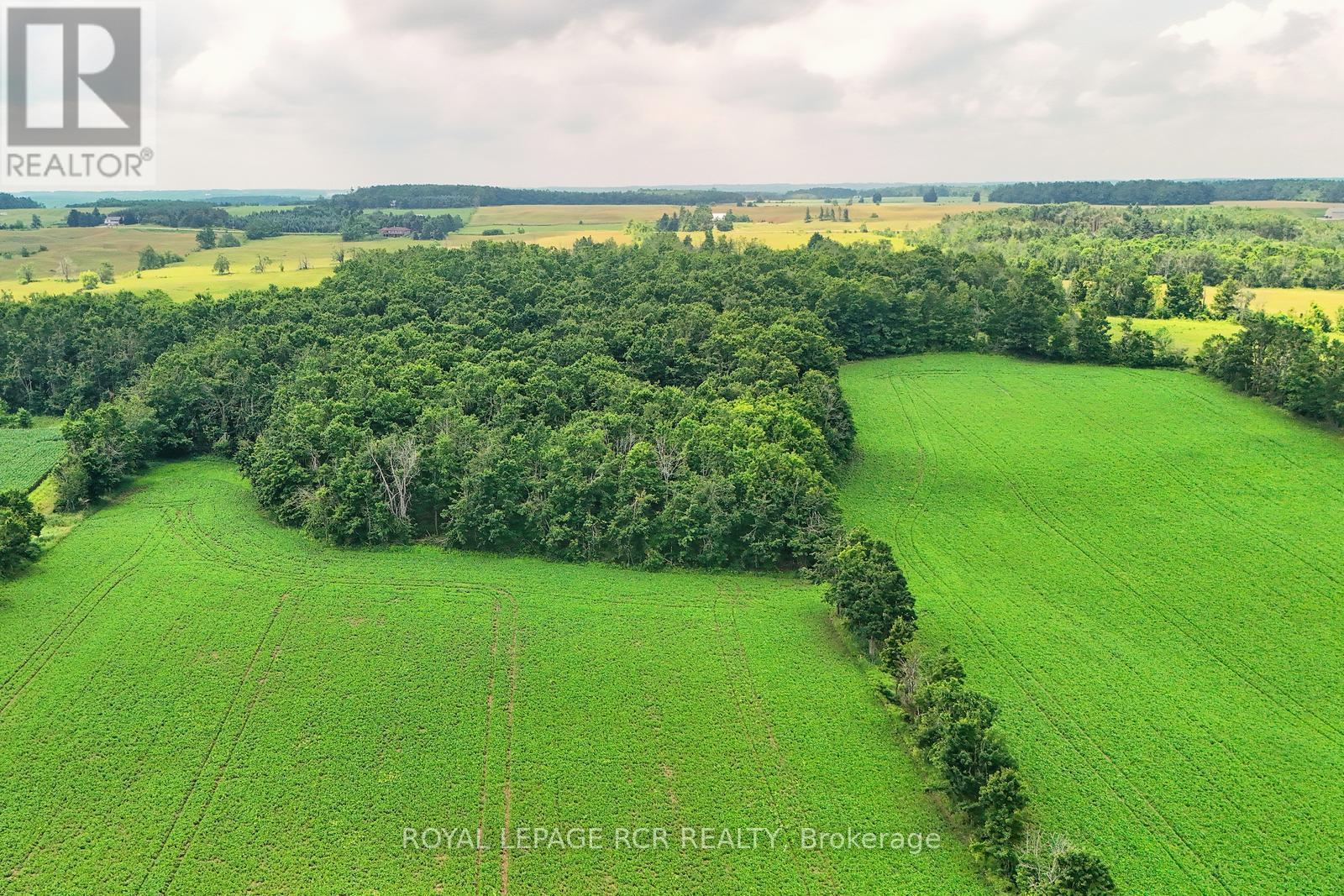 716450 1st Line E, Mulmur, Ontario  L9V 0E9 - Photo 11 - X12282513