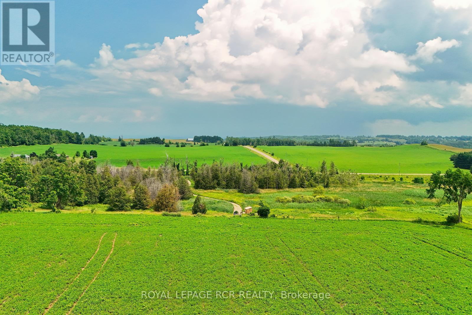 716450 1st Line E, Mulmur, Ontario  L9V 0E9 - Photo 13 - X12282513