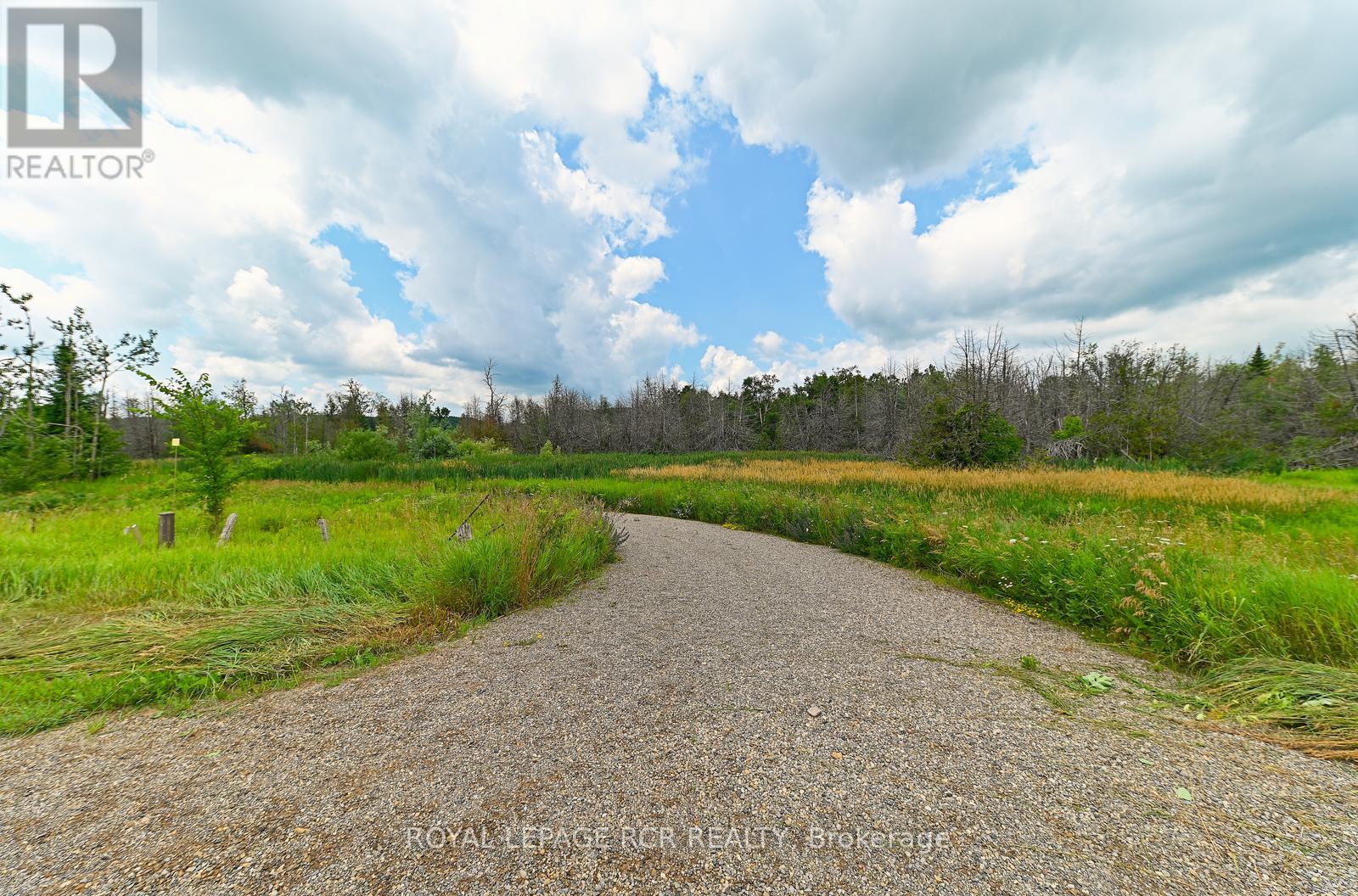 716450 1st Line E, Mulmur, Ontario  L9V 0E9 - Photo 15 - X12282513