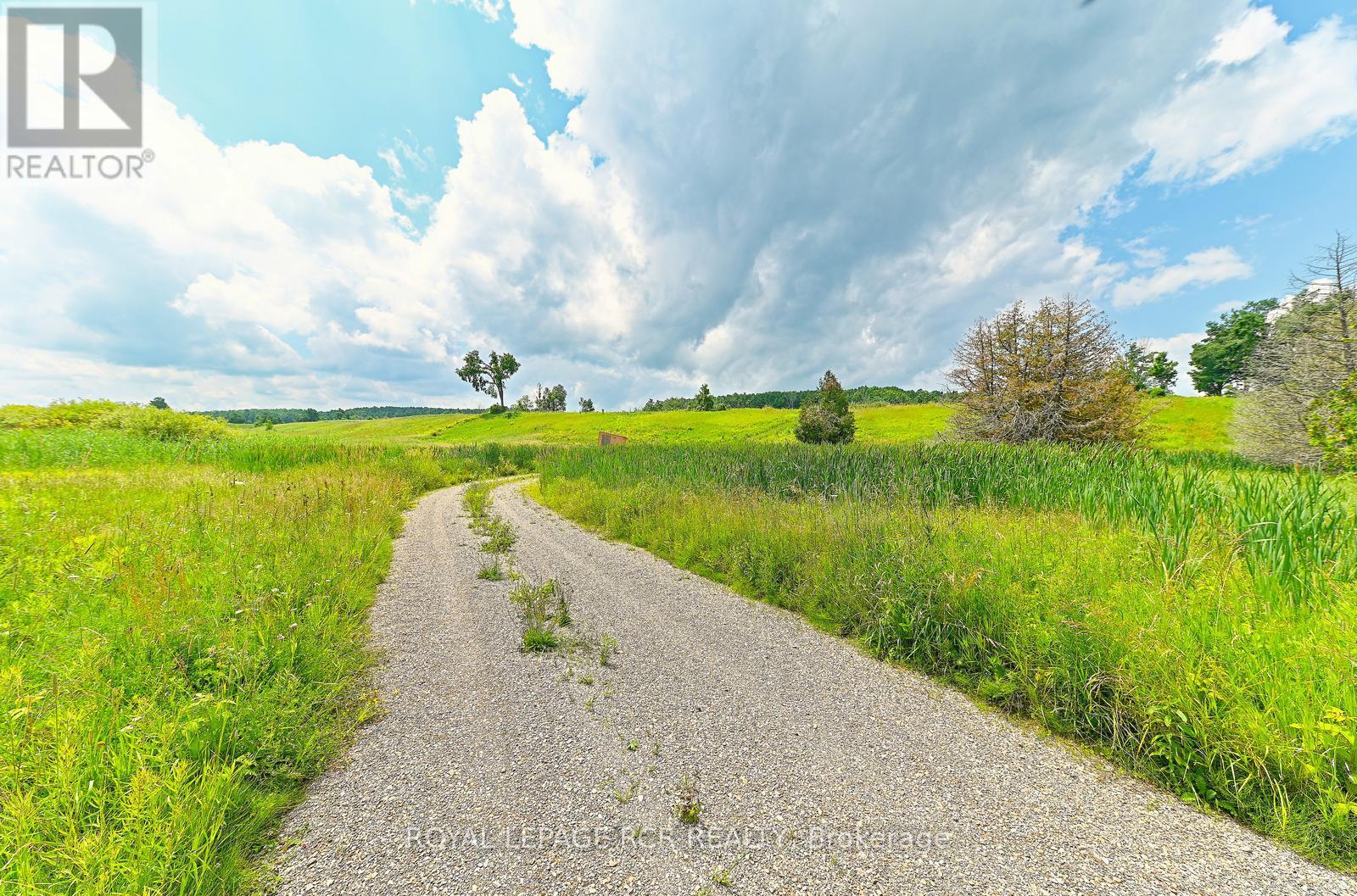 716450 1st Line E, Mulmur, Ontario  L9V 0E9 - Photo 16 - X12282513