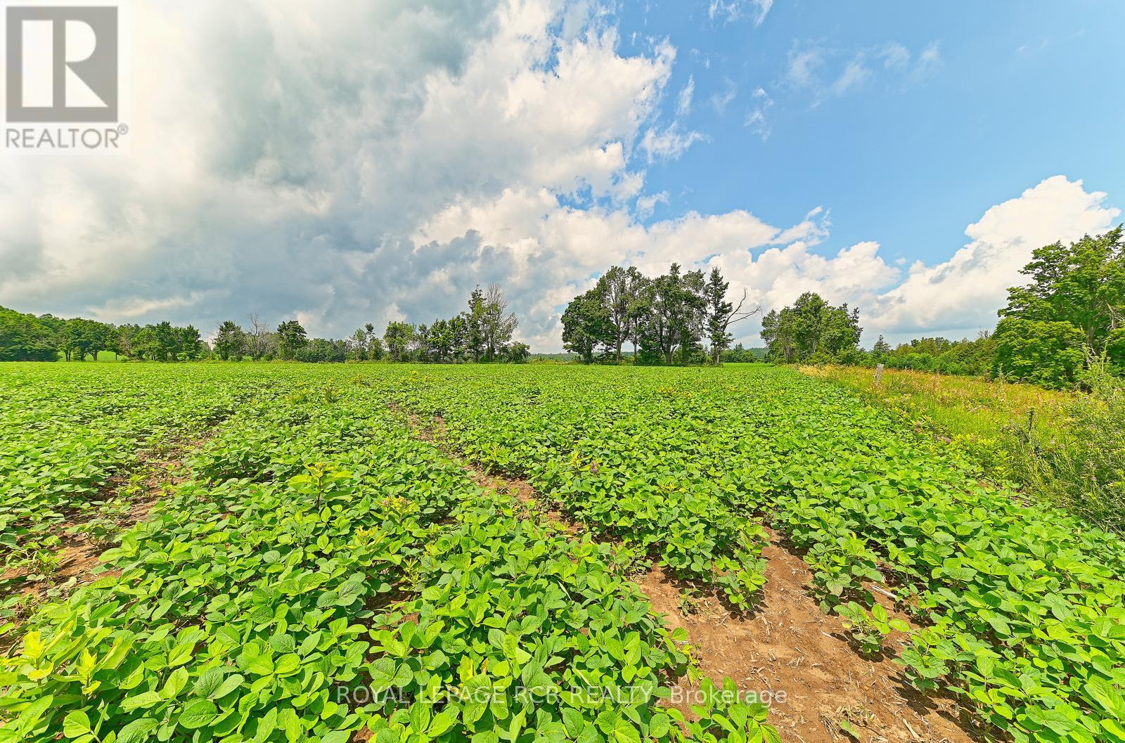 716450 1st Line E, Mulmur, Ontario  L9V 0E9 - Photo 18 - X12282513