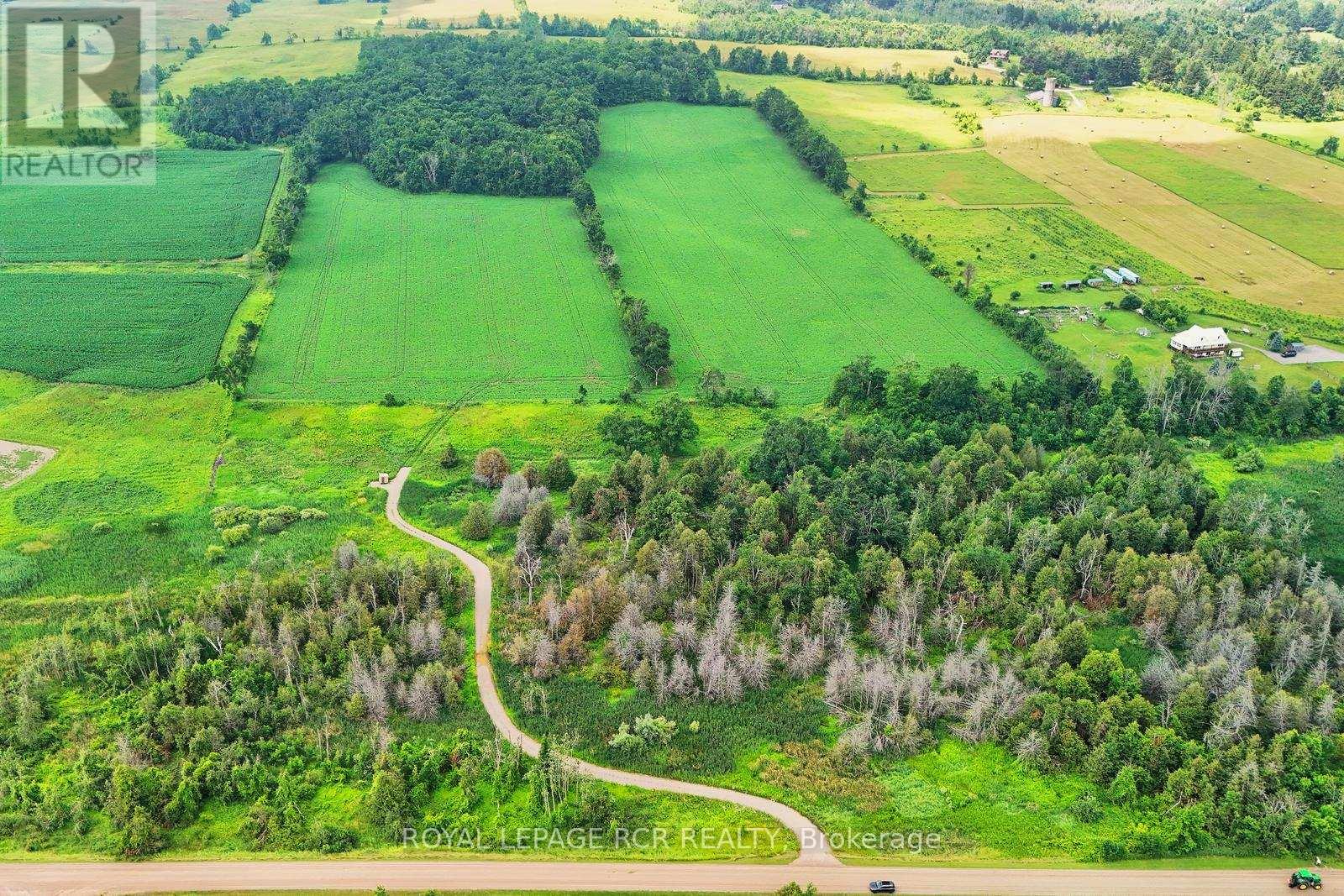 716450 1st Line E, Mulmur, Ontario  L9V 0E9 - Photo 5 - X12282513