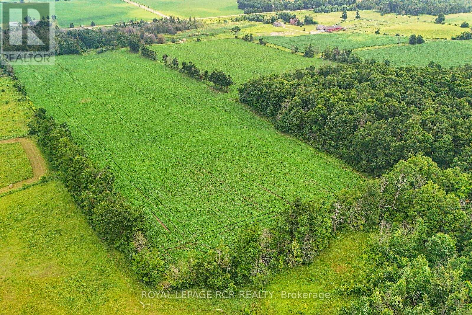 716450 1st Line E, Mulmur, Ontario  L9V 0E9 - Photo 7 - X12282513