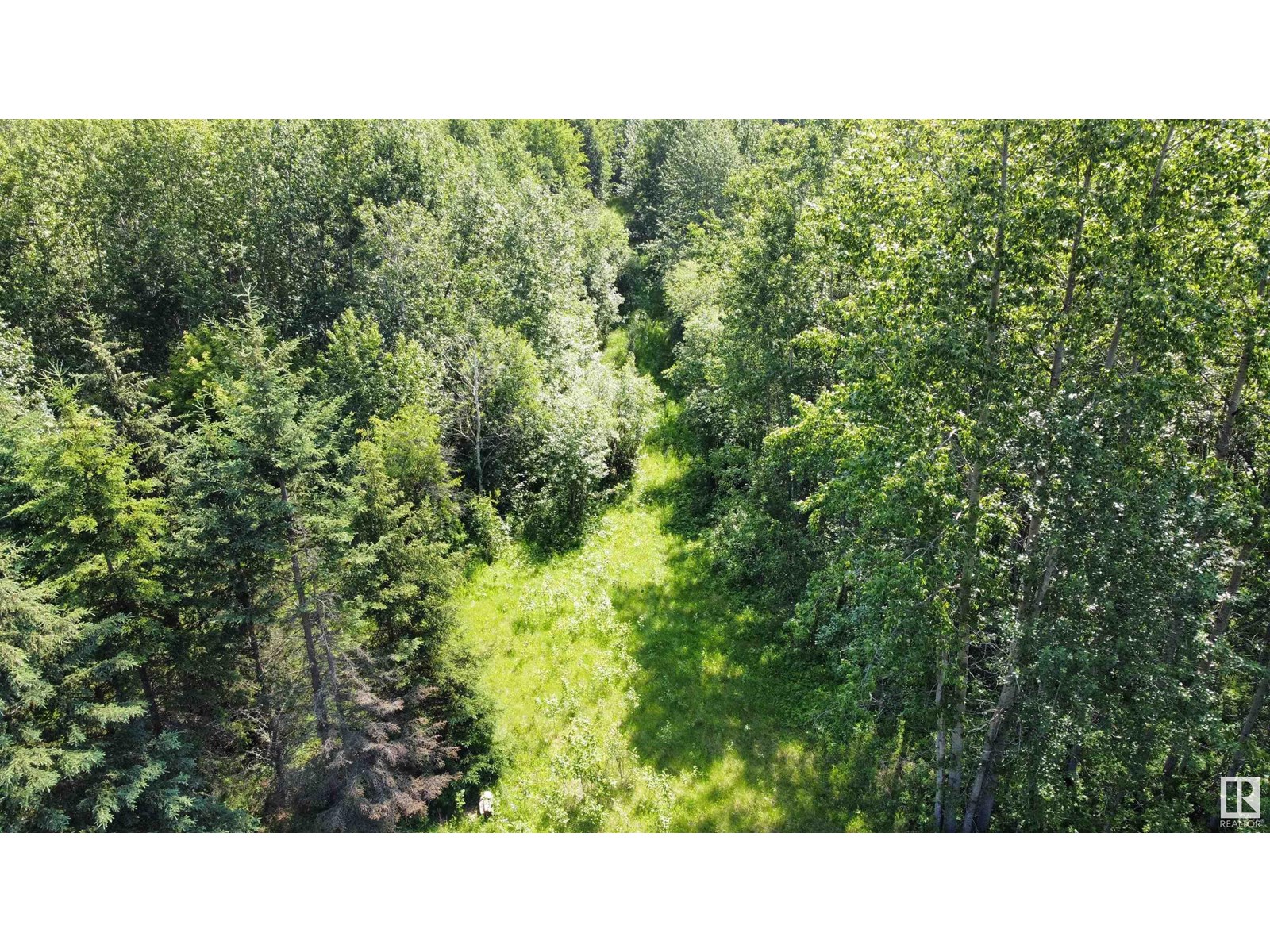 Range Rd 163 Twp Rd 652, Rural Lac La Biche County, Alberta  T0A 0R0 - Photo 9 - E4446246