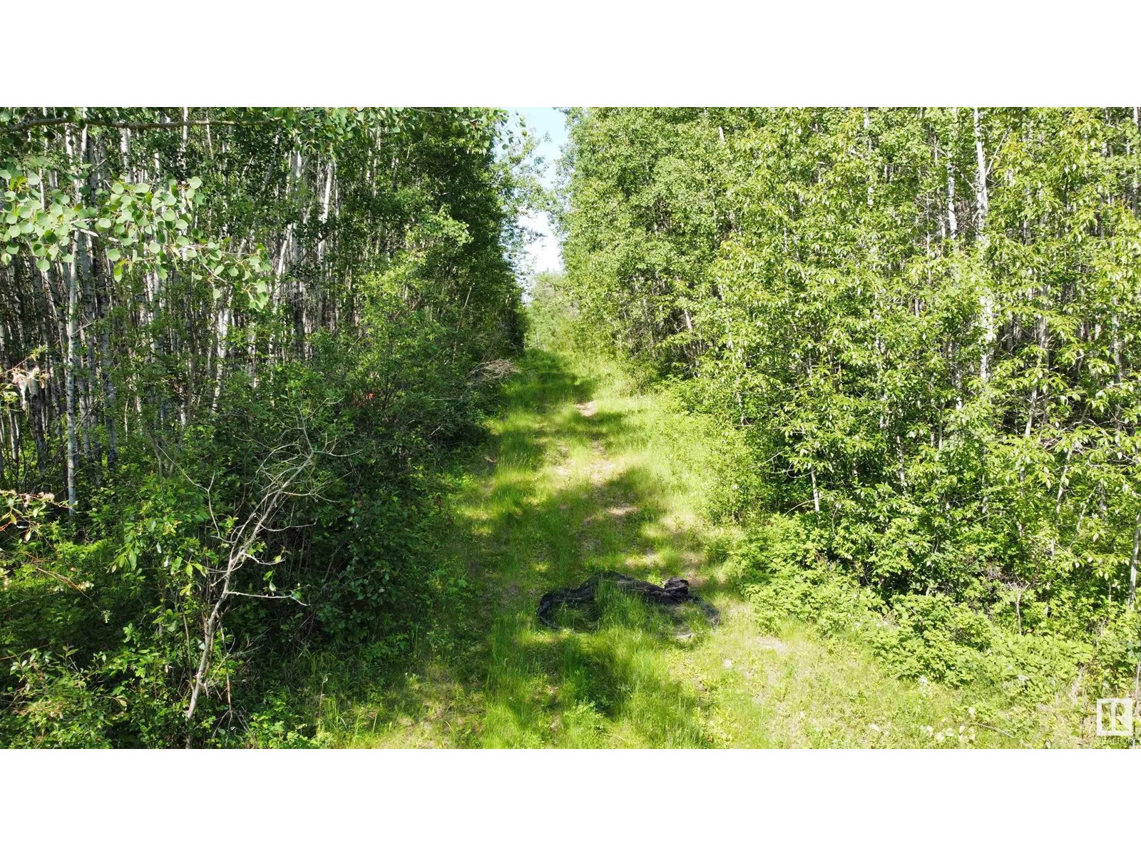 Range Rd 163 Twp Rd 652, Rural Lac La Biche County, Alberta  T0A 0R0 - Photo 17 - E4446246