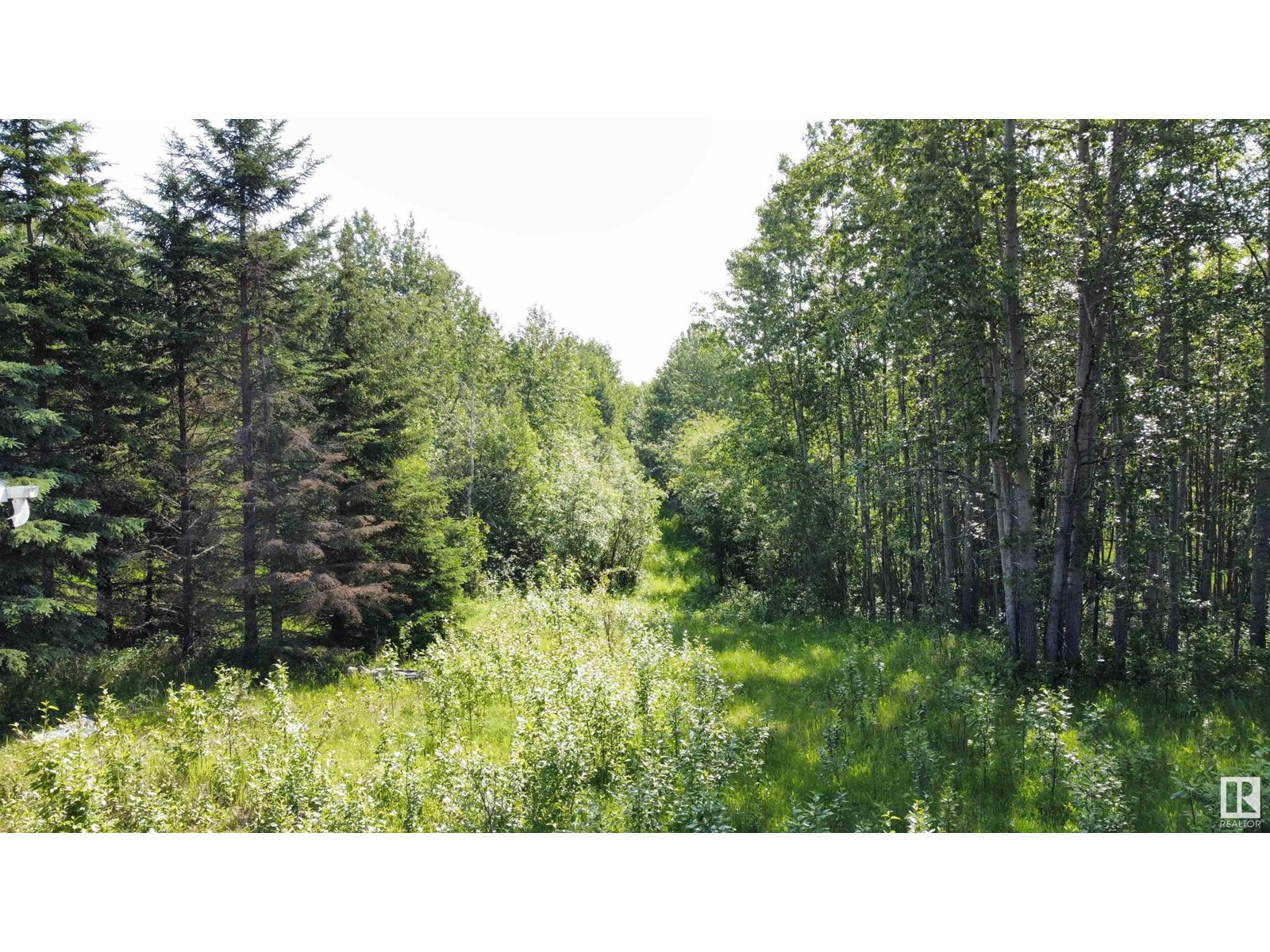 Range Rd 163 Twp Rd 652, Rural Lac La Biche County, Alberta  T0A 0R0 - Photo 6 - E4446246
