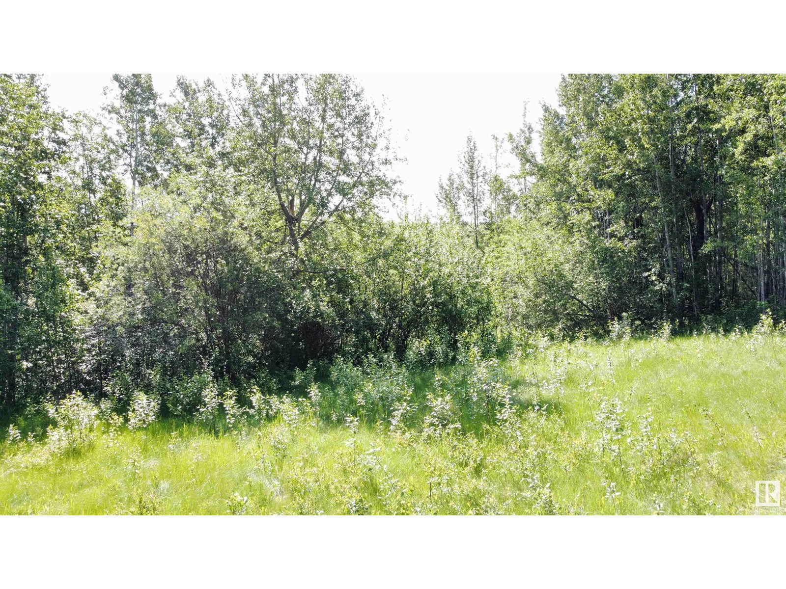 Range Rd 163 Twp Rd 652, Rural Lac La Biche County, Alberta  T0A 0R0 - Photo 12 - E4446246