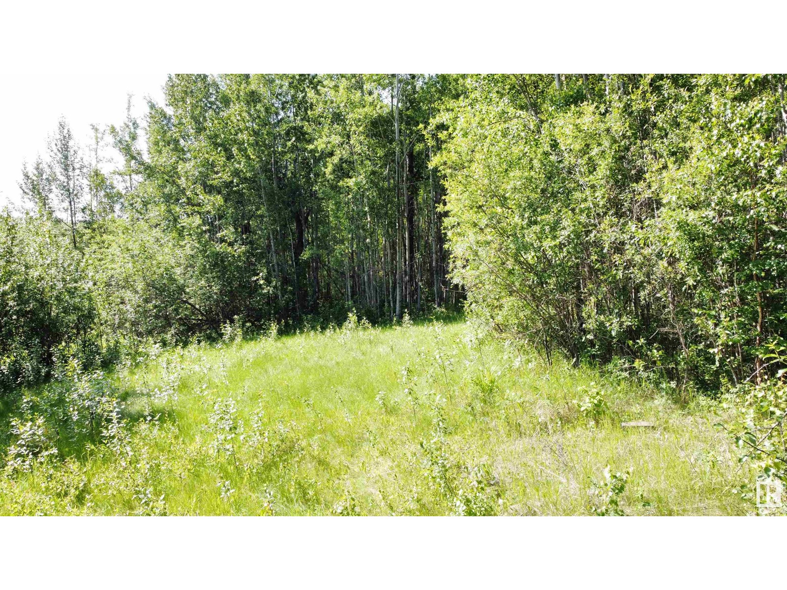 Range Rd 163 Twp Rd 652, Rural Lac La Biche County, Alberta  T0A 0R0 - Photo 13 - E4446246