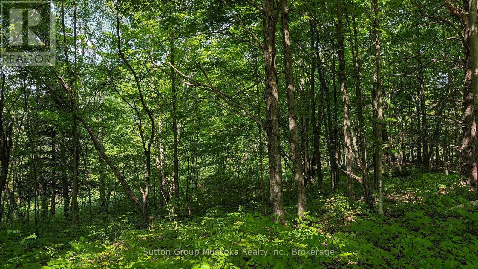 Lot 2 Tally-Ho Winter Park Road, Lake Of Bays, Ontario  P1H 2E5 - Photo 3 - X12282684