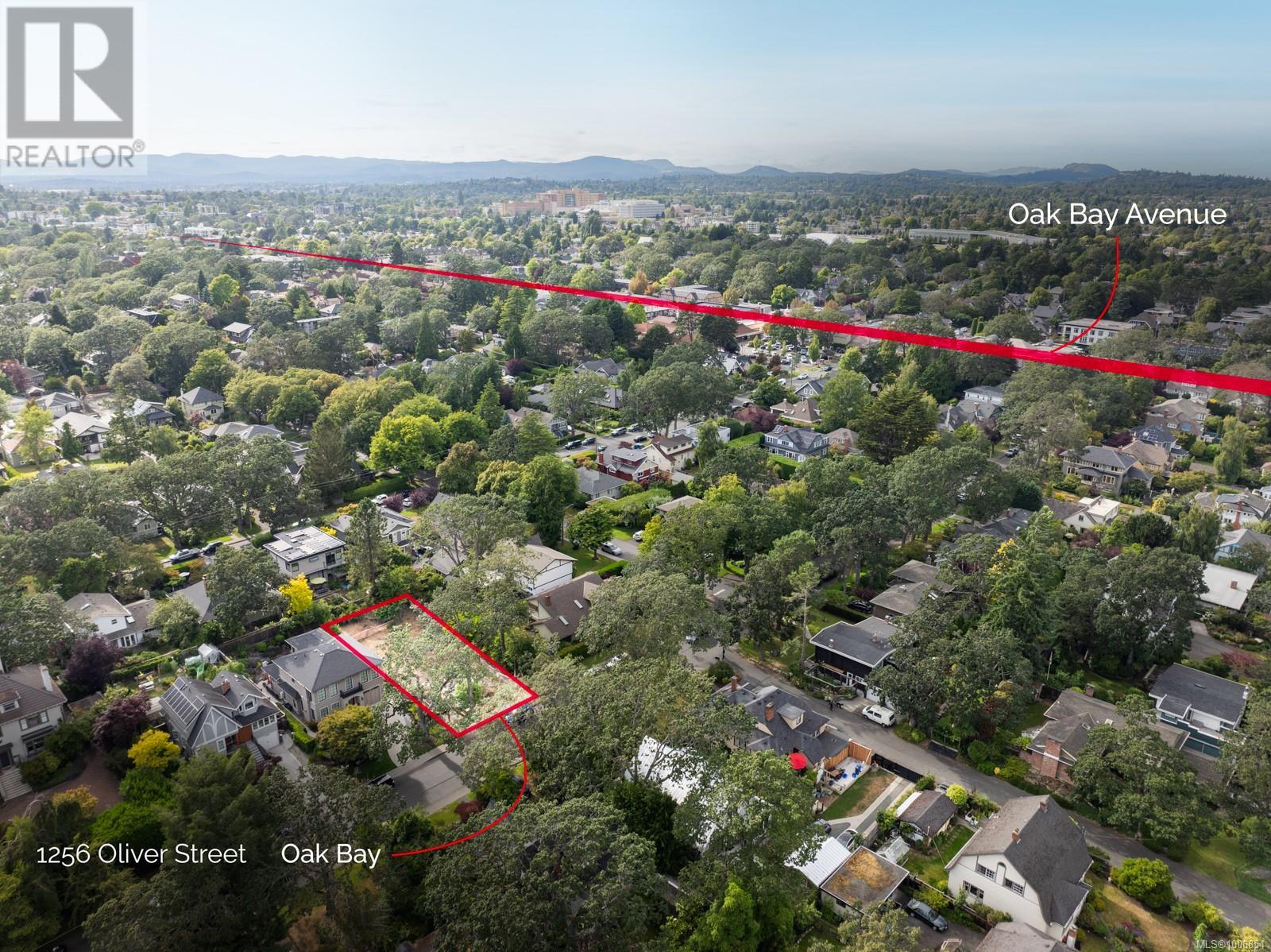 Property at 1256 Oliver St image 4