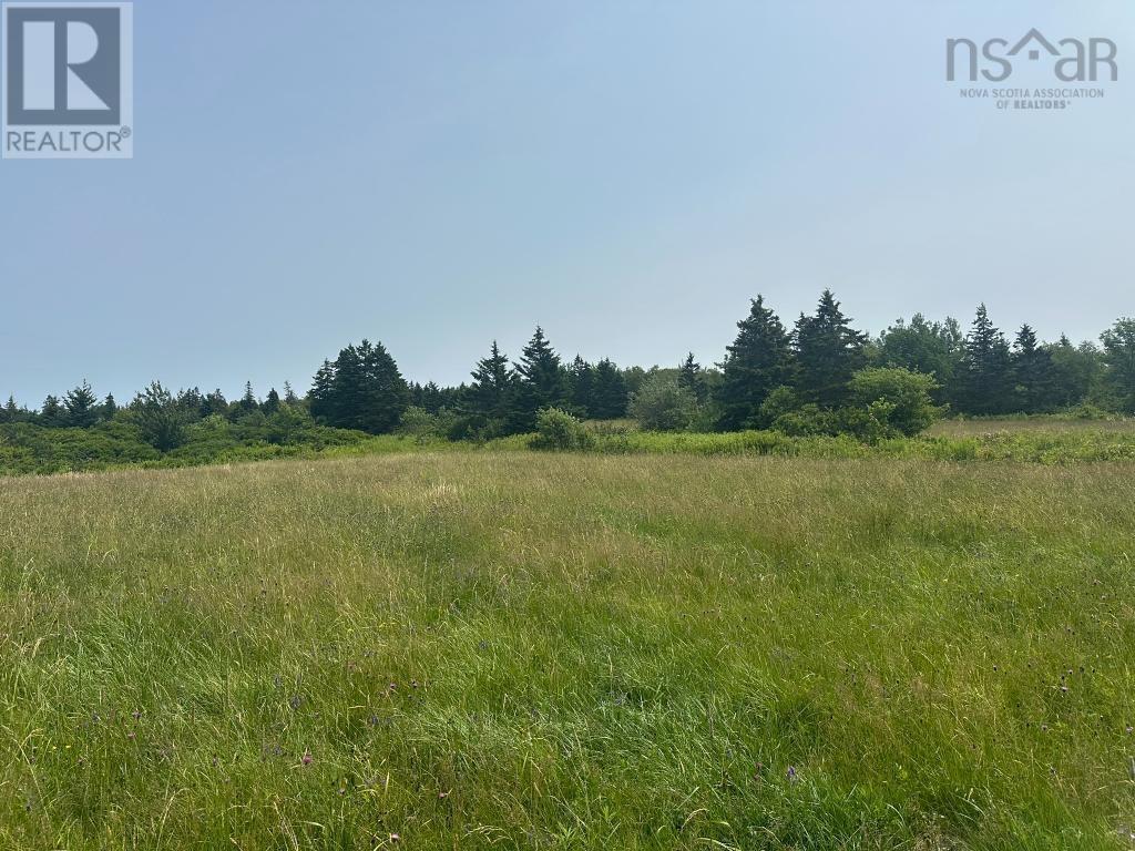 360 Port Lorne Road, Port Lorne, Nova Scotia  B0S 1R0 - Photo 5 - 202517541
