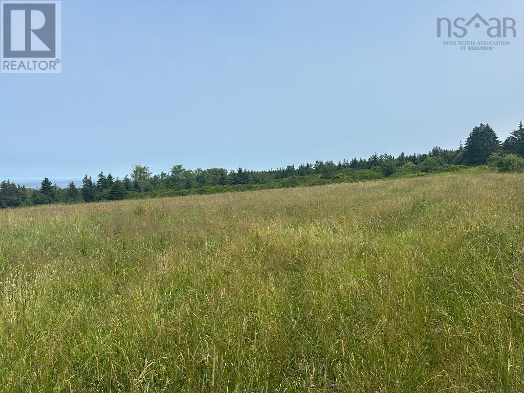 360 Port Lorne Road, Port Lorne, Nova Scotia  B0S 1R0 - Photo 2 - 202517541