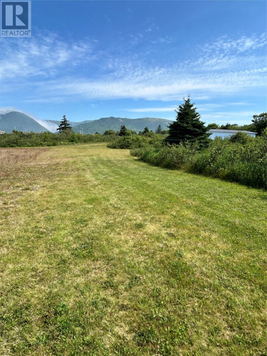 21 Main Road, Cape Ray, Newfoundland & Labrador  A0N 1C0 - Photo 7 - 1283980