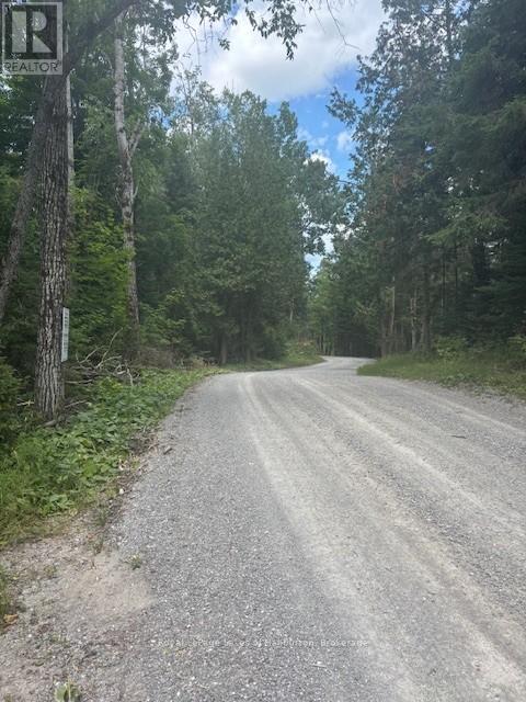 207 Dutch Line, Trent Lakes, Ontario  K0M 2A0 - Photo 12 - X12283125
