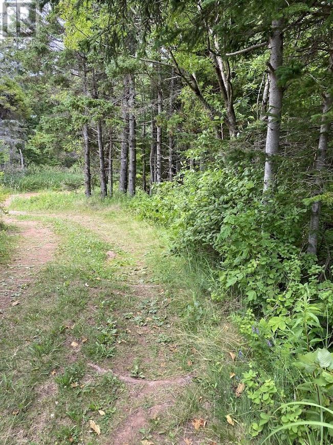 Lot Maclean Road, Milo, Prince Edward Island  C0B 1V0 - Photo 5 - 202517582