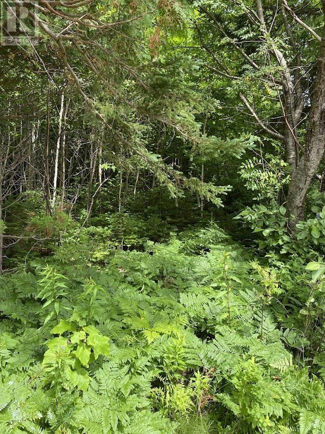 Lot Maclean Road, Milo, Prince Edward Island  C0B 1V0 - Photo 8 - 202517582