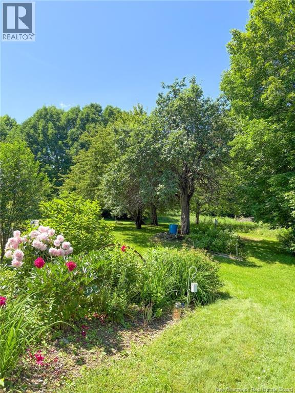 3727 560 Route, Lower Knoxford, New Brunswick  E7K 2R2 - Photo 50 - NB122691