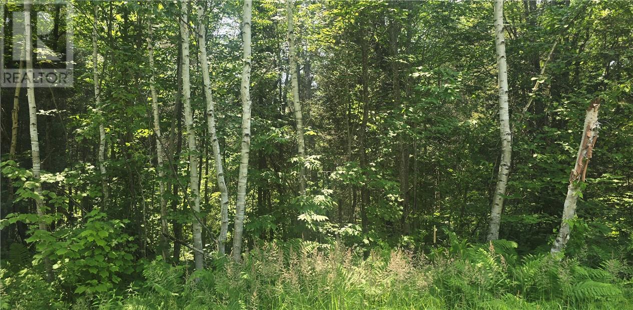 Tbd Forest Hill Road, Monetville, Ontario  P0M 2K0 - Photo 2 - 2123517