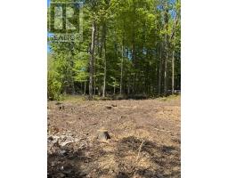 LOT 3 FAIRLAWN GROVE, Tiny, Ontario