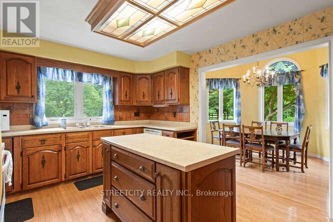 18725 Desmond Road, Chatham-Kent, Ontario  N0P 2C0 - Photo 20 - X12283034