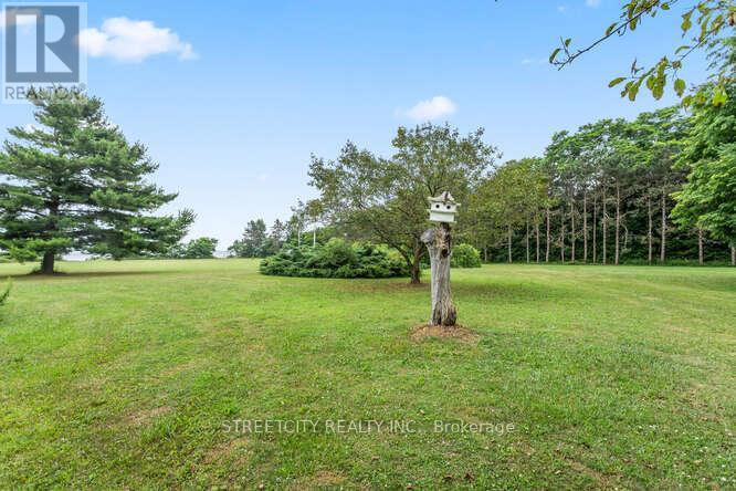 18725 Desmond Road, Chatham-Kent, Ontario  N0P 2C0 - Photo 43 - X12283034