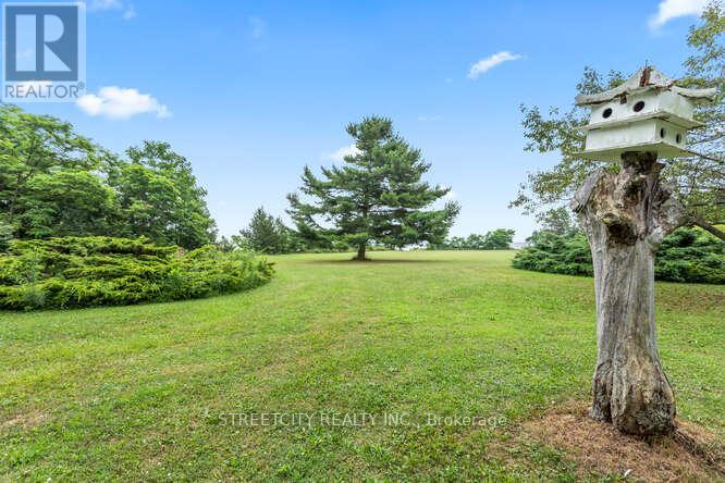 18725 Desmond Road, Chatham-Kent, Ontario  N0P 2C0 - Photo 44 - X12283034