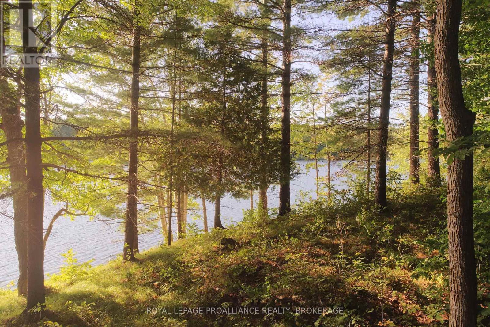 Lot 2 Kismet Lane, Frontenac, Ontario  K0H 2L0 - Photo 21 - X12283711