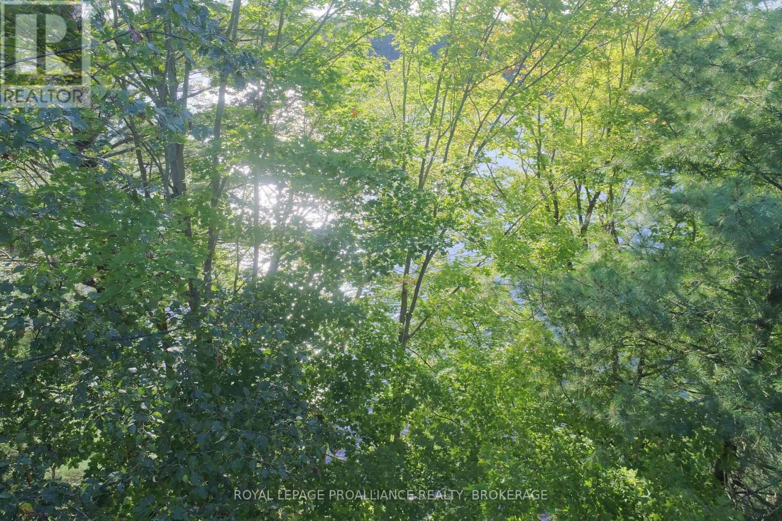 Lot 2 Kismet Lane, Frontenac, Ontario  K0H 2L0 - Photo 23 - X12283711