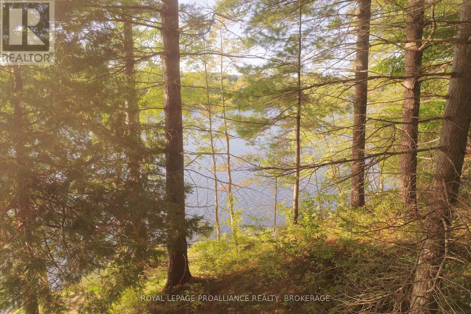 Lot 1 Kismet Lane, Frontenac, Ontario  K0H 2L0 - Photo 16 - X12283734