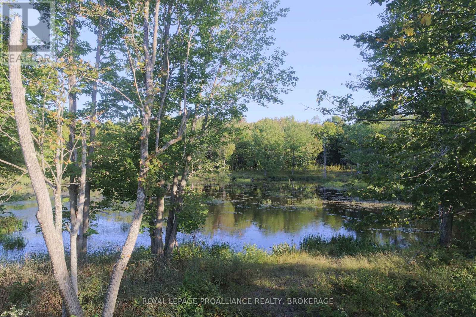 Lot 1 Kismet Lane, Frontenac, Ontario  K0H 2L0 - Photo 21 - X12283734
