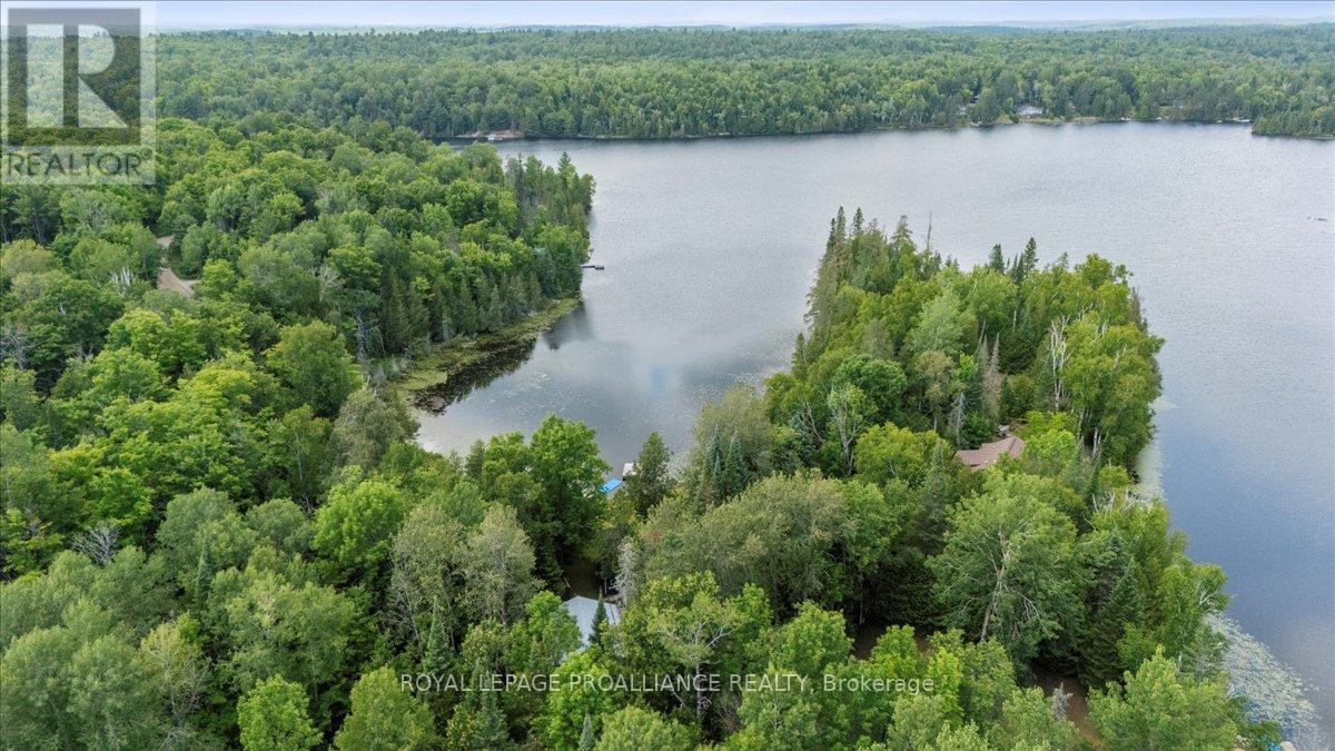 17 Halcomb Lane, Limerick, Ontario  K0L 1P0 - Photo 5 - X12283706