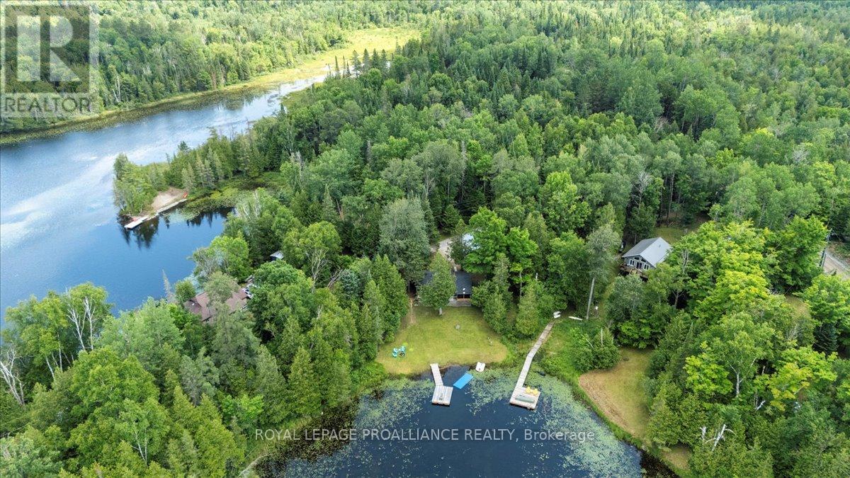 17 Halcomb Lane, Limerick, Ontario  K0L 1P0 - Photo 7 - X12283706