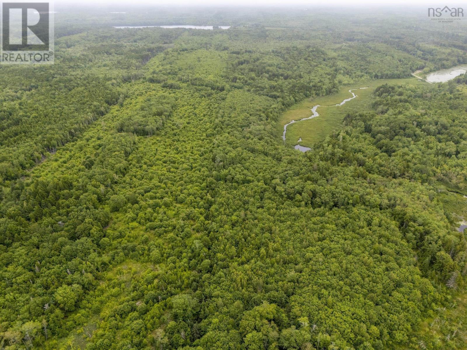Lot 4 Highway 1, Grosses Coques, Nova Scotia  B0W 1M0 - Photo 22 - 202517595