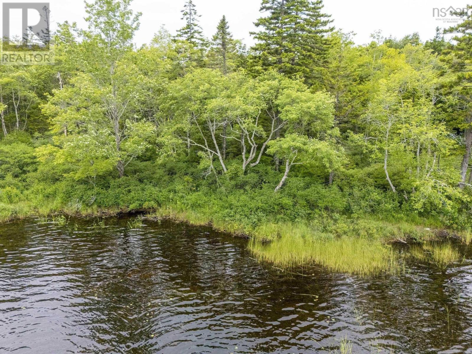 Lot 4 Highway 1, Grosses Coques, Nova Scotia  B0W 1M0 - Photo 34 - 202517595