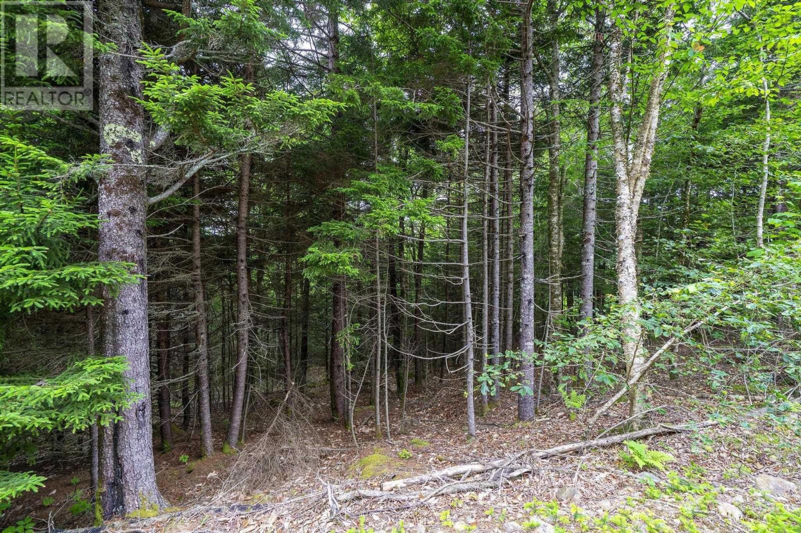 Lot 4 Highway 1, Grosses Coques, Nova Scotia  B0W 1M0 - Photo 42 - 202517595
