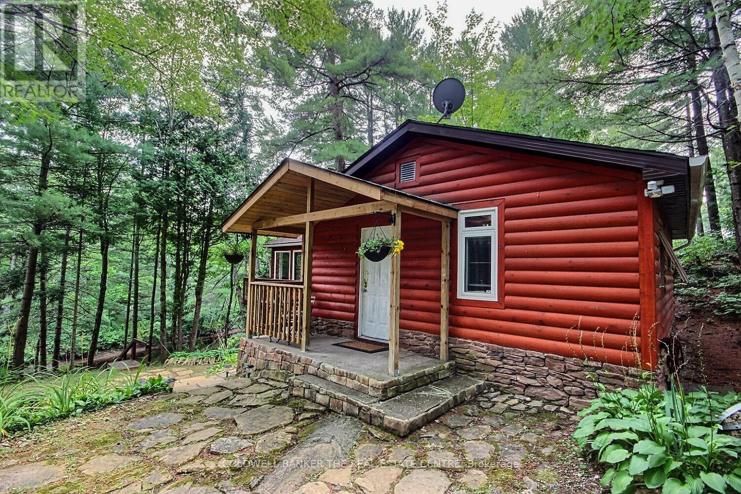 54 Black River Road, Kawartha Lakes, Ontario  L0K 2B0 - Photo 23 - X12283537