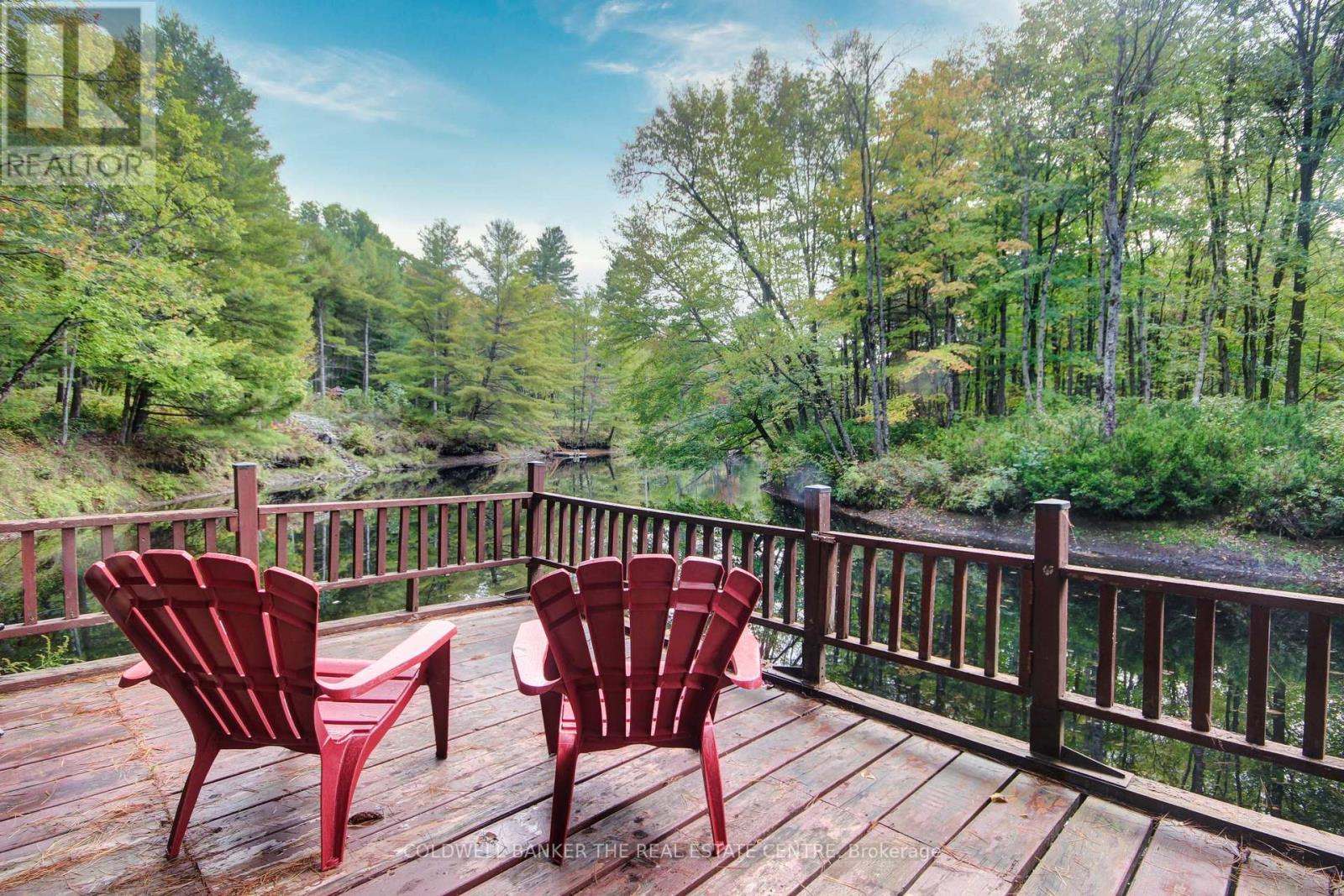 54 Black River Road, Kawartha Lakes, Ontario  L0K 2B0 - Photo 3 - X12283537