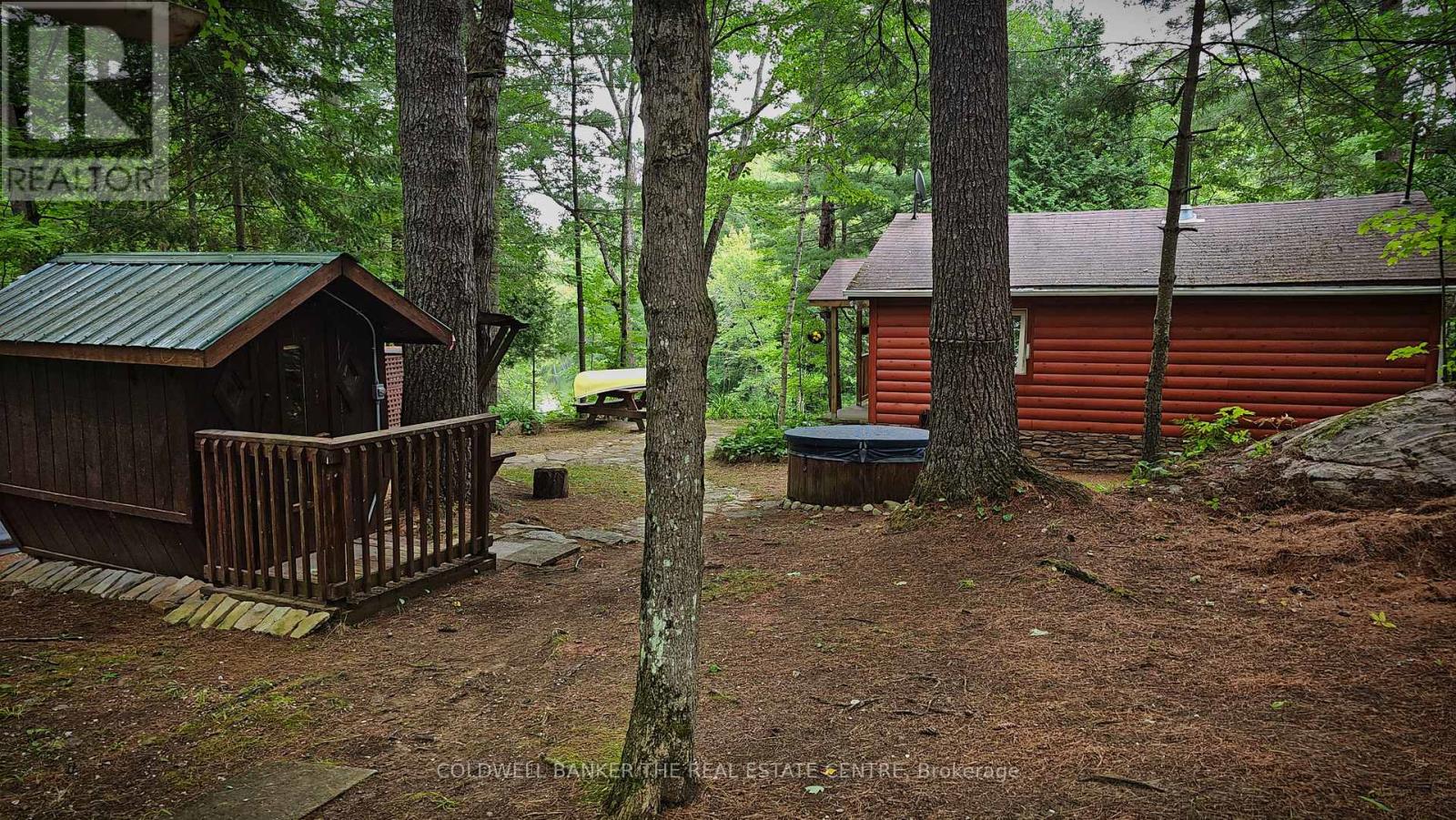 54 Black River Road, Kawartha Lakes, Ontario  L0K 2B0 - Photo 4 - X12283537