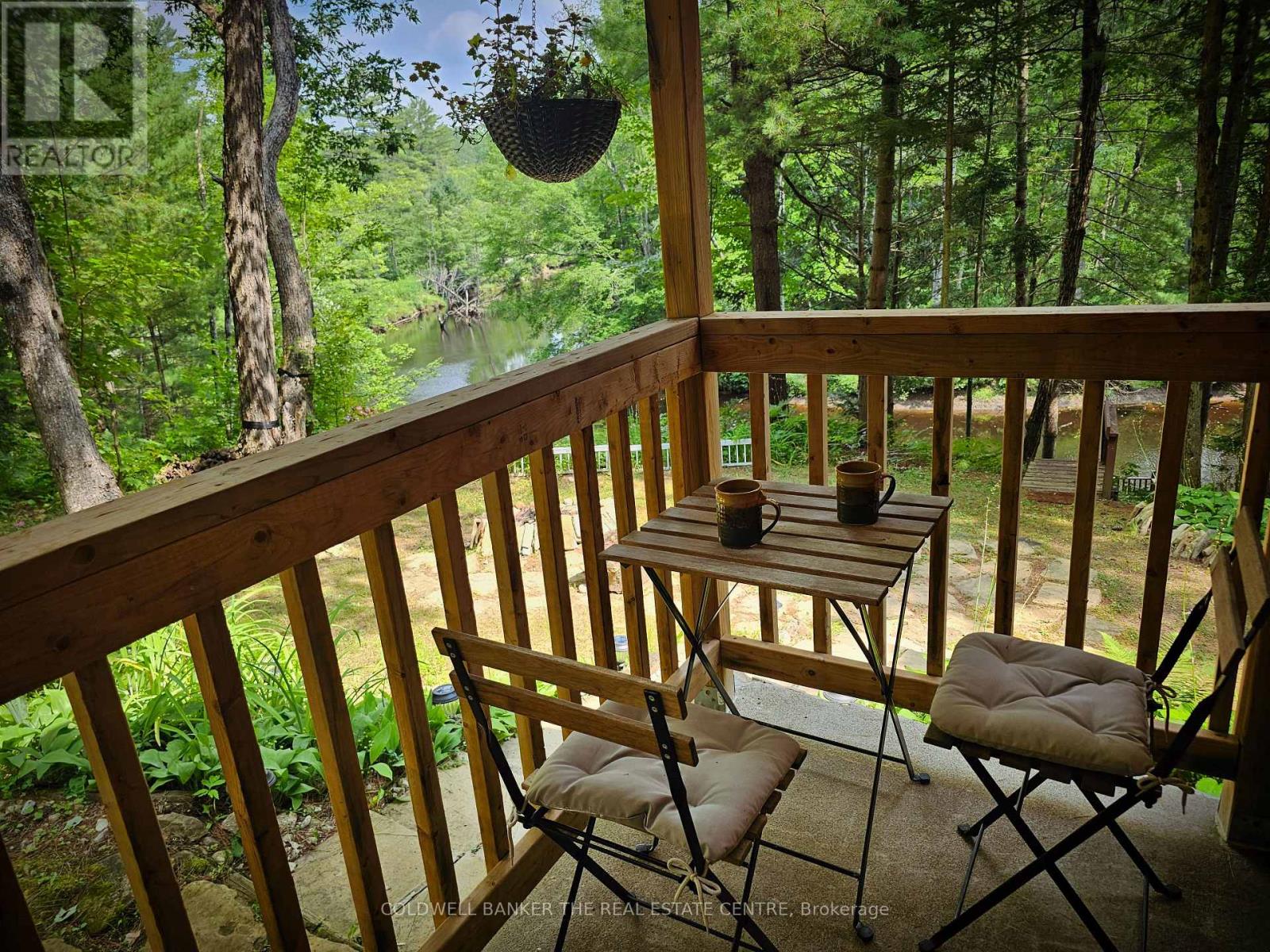 54 Black River Road, Kawartha Lakes, Ontario  L0K 2B0 - Photo 5 - X12283537