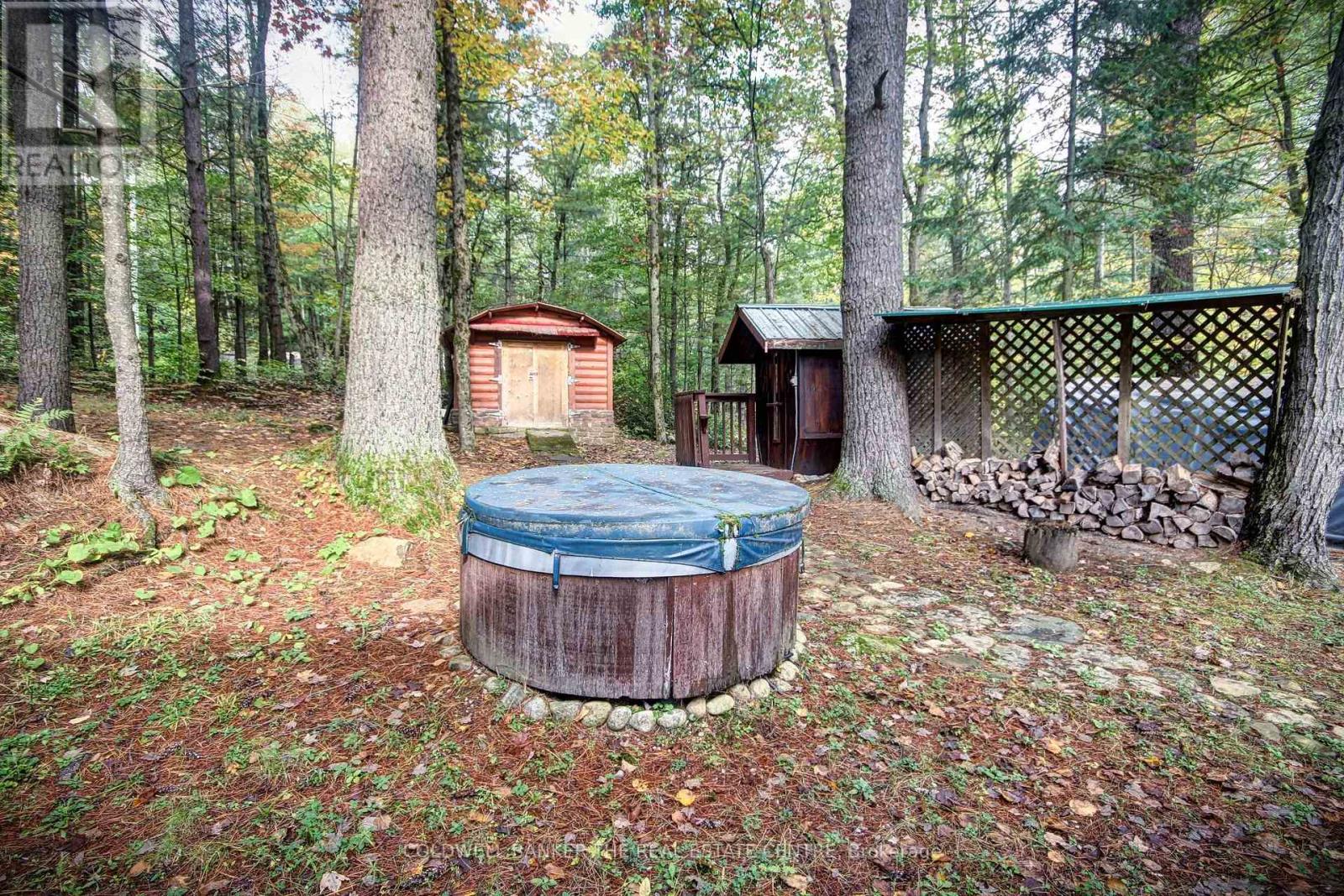 54 Black River Road, Kawartha Lakes, Ontario  L0K 2B0 - Photo 8 - X12283537