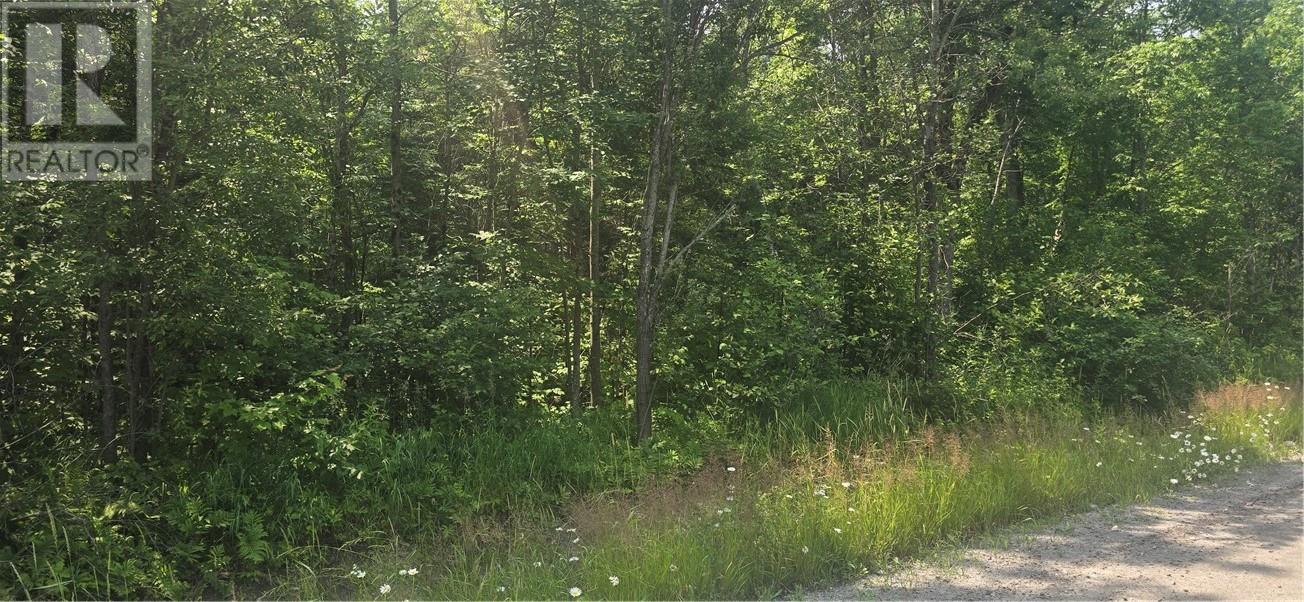 Tbd Forest Hill Road, Monetville, Ontario  P0M 2K0 - Photo 2 - 2123518