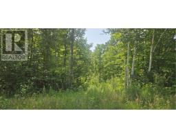 TBD FOREST HILL ROAD, Monetville, Ontario