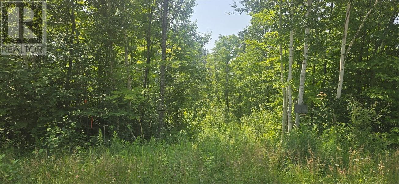 TBD FOREST HILL ROAD, monetville, Ontario