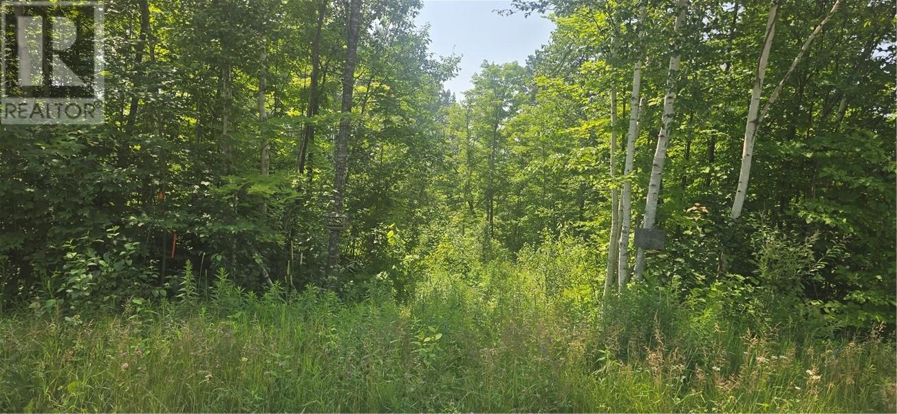 Tbd Forest Hill Road, Monetville, Ontario  P0M 2K0 - Photo 2 - 2123514