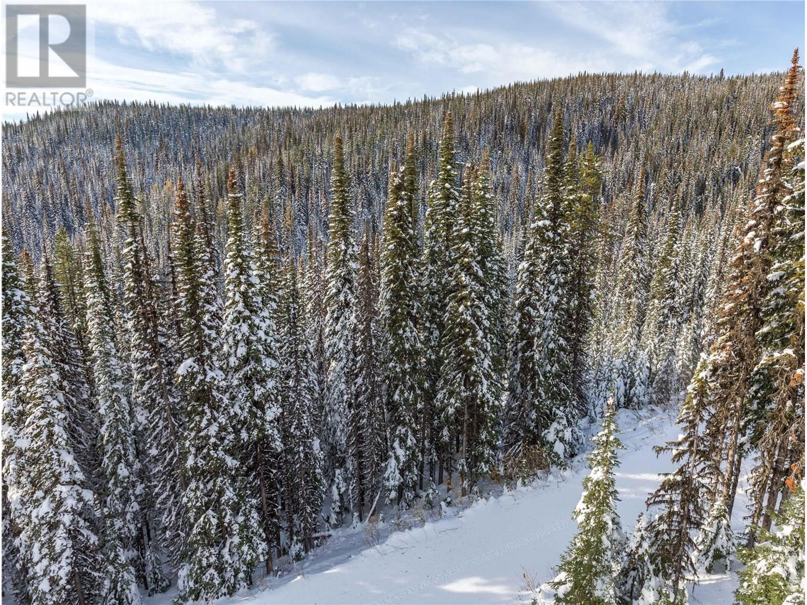 9966 Purcell Drive, Silver Star, British Columbia  V1B 3M1 - Photo 15 - 10355409